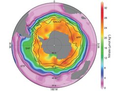 The nitrate concentration of the oceans around the antarctics. Graphics: Gerald H. Haug, MPI for Chemistry.