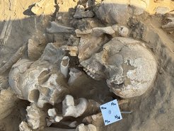 Excavation sites such as this burial mound in Oman