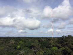 Reaching into the clouds and sky with measurement towers that are up to 325 meters high: The Amazon Tall Tower Observatory (ATTO) in the Brazilian rainforest also gathers important data to improve predictions on the climate development.