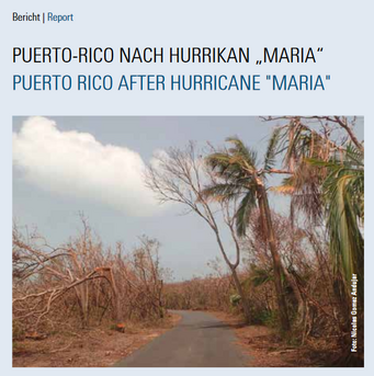 Newsletter Deckblatt 1/2018. Zerstörte Palmen entlang einer Straße in Puerto Rico nach Hurrikan Maria.