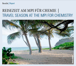 Newsletter Deckblatt 4/2016. Palmen an einem Strand.