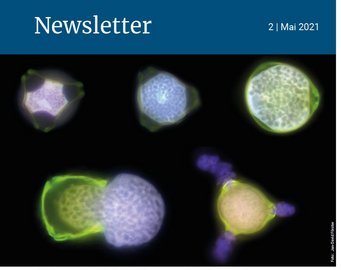Deckblatt Newsletter der MPI für Chemie. Zweite Ausgabe 2021.