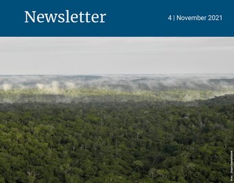 Aerial perspective of a dense tropical forest with layers of fog drifting over the horizon under a cloudy sky.