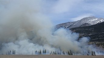 Researchers from Tianjin University, China, and the Max Planck Institute for Chemistry, Mainz, Germany, expect an increasing importance of brown carbon in the warming of the circum-arctic in the future. Fur Trees, smoke, mountains, blue sky with white clouds