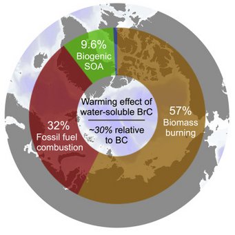 Brown carbon from biomass burning imposes strong circum-Arctic warming (One Earth 2022) Brown carbon from biomass burning imposes strong circum-Arctic warming (One Earth 2022)