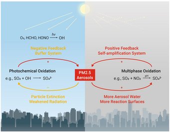 Self-amplification of aqueous phase chemistry in aerosol water versus buffering effect of photochemical oxidation (Science Advaces 2016; Accounts of Chemical Research 2020; Graphic: Dominic Jack) Self-amplification of aqueous phase chemistry in aerosol water versus buffering effect of photochemical oxidation (Science Advaces 2016; Accounts of Chemical Research 2020; Graphic: Dominic Jack)