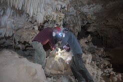 „Die Höhlenwelt, die wir unter der Arabischen Wüste entdeckt haben, ist atemberaubend. Die gewaltigen Speläotheme im Untergrund sind ein bemerkenswerter Kontrast zur trockenen Wüstenoberfläche darüber und zeugen von längst vergangenen feuchten und grünen Zeitaltern, in denen sich diese Ablagerungen gebildet haben,“ sagt der Geologe Hubert Vonhof vom Mainzer Max-Planck-Institut für Chemie.Im Foto: Hubert Vonhof (links), Alexander Budsky (rechts), Co-Autoren der Studie.